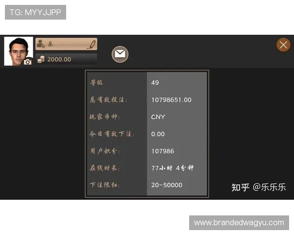 视讯龙虎高频开奖机制揭秘让你掌握第一时间内获胜的关键技巧