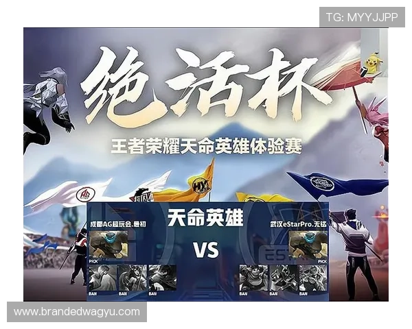 ag百家玩家交流社区分享实用经验与战术策略共同提升游戏水平