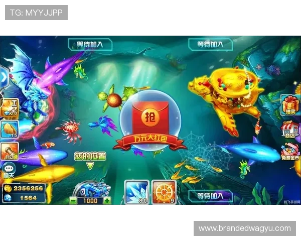 优直播百家乐官网最新优惠活动不断，丰富的游戏玩法满足不同玩家的娱乐需求