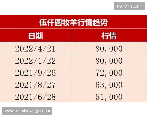 全面解析K8视讯倍投技巧提升你的游戏胜率与收益