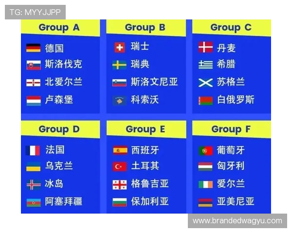 世界杯官方分组查询入口：详细解读分组抽签流程与球队分组情况