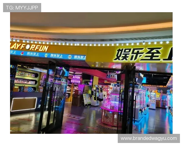 网站真人在线娱乐体验，带你感受最真实的互动娱乐新体验