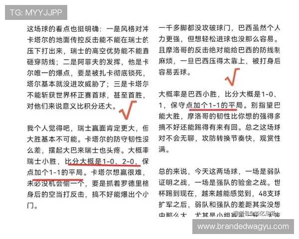 2026年世界杯瑞典VS突尼斯比赛时间地点及现场观赛攻略详解