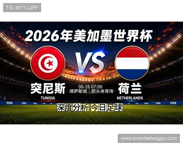 2026年世界杯突尼斯对阵荷兰比赛精彩录像回放全场高清回放解析