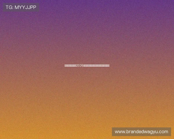 乐鱼体育网投总结2026世界杯明星球员表现亮点与未来发展趋势